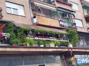 Top Bitola