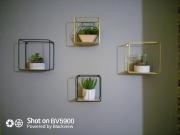 Top Newcastle upon Tyne