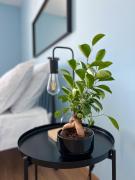 Apartamenty Rynek 7 Apartamenty Rynek 7