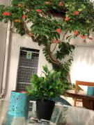 Top Paralia Katerinis
