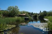 Top Tavira