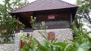 Top Zlatibor