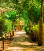 Top Diani Beach