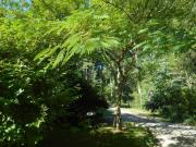 Évasion Romantique: Charmant Gîte 2 Pers., Parc Boisé, Activités & Confort Tout Inclus - FR-1-381-455