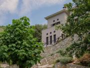 Top Áno Gatzéa Top Áno Gatzéa