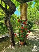 Top Candeleda Top Candeleda