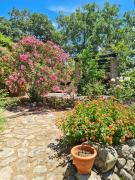 Top Candeleda Top Candeleda