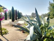 Top Barbarano Romano