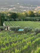 Casale Verdeluna Wine Resort