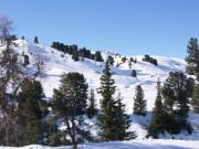 Top La Plagne Tarentaise