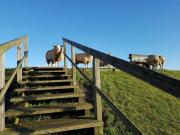 Top Sankt Peter-Ording