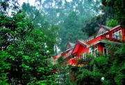 Top Munnar