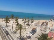 Top Cádiz
