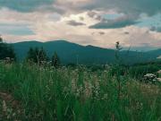 Top Smerek Top Smerek