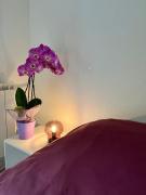 Cassis - Studio terrasse - Centre Dijon BSB Jouvence