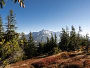 Top Saalbach Hinterglemm