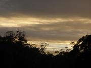 Top Pemberton