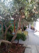 Top Trogir Top Trogir