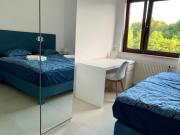 Top Rogowo Top Rogowo