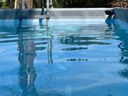 THE DORMOUSE - Il Ghiro