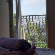 Top Stanići Top Stanići