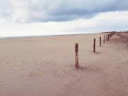 Top Amposta Top Amposta