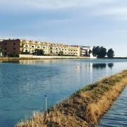 Top Amposta Top Amposta