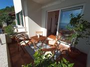 Lemon No. 205 Lemon No. 205