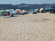 Top Savona Top Savona