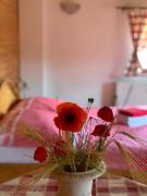 Top Braňany Top Braňany