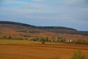 Top Ladoix Serrigny