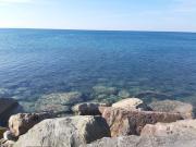 Top Casale Marittimo