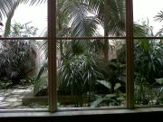 Loft monoambiente entrepiso y balcón francés