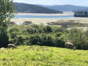 Top Cariño Top Cariño