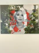 Top Bielsko-Biała Top Bielsko-Biała