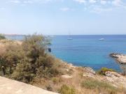Top Gallipoli