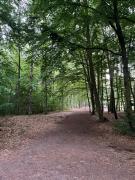 Top Jantar Top Jantar