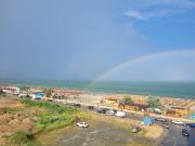 Studio Joy2Sea
