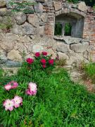 Top Kędrzyno Top Kędrzyno