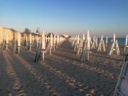 Top Marsala