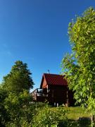 Top Tūja