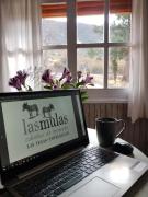 Cabañas Las Mulas "confort en la montaña"