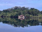 Dolphin Blue Paradise