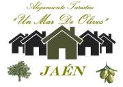 Alojamiento Turístico Un Mar De Olivos Jaén