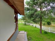 Top Czysta Top Czysta