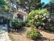 Top Dhaskalión Top Dhaskalión