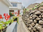 Top Punta del Hidalgo Top Punta del Hidalgo