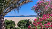 Top Plage dʼArgelès