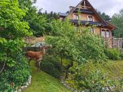 Top Ustrzyki Dolne Top Ustrzyki Dolne