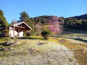 Top Monte Verde